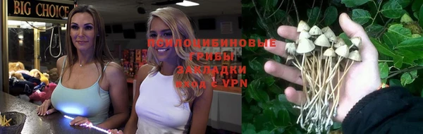 твердый Горно-Алтайск
