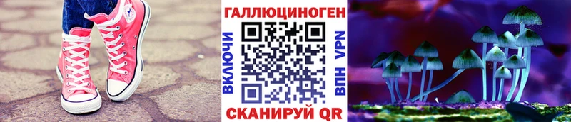 Псилоцибиновые грибы Psilocybine cubensis Купить закладки Куйбышев